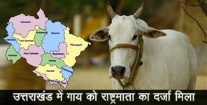 image: cow become rastramata prapossel passed in uttarakhand assembly