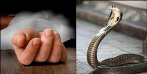 image: 9 year old child dies due to cobra bite