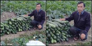 image: Dalvir a farmer from Uttarkashi made a fabulous income from farming
