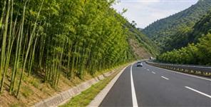 Bamboo to Line Uttarakhand Expressways
