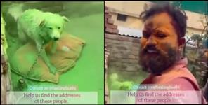 image: shameful act with dog in dehradun video