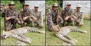 image: Man-eating leopard hunt in Chamoli district