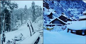 image: Uttarakhand Weather Update 12 january 2025