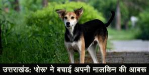 image: uttarakhand dog saved a lady