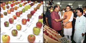 image: International apple festival in dehradun