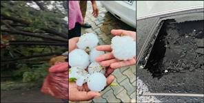 Uttarakhand Rain and Hailstorm Damage Vehicles Tree Falls