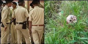 image: Skeleton of Harish Joshi of Bageshwar found in Haldwani