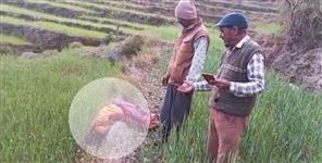 image: Leopard dragged woman across 7 fields in Jakholi