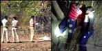 Two dead bodies of trees found in Haridwar
