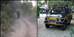 Elephants run after tourists in Corbett National Park