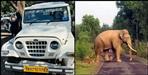 elephant attacked Max vehicle injured driver lost his life