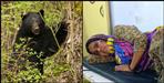 Pauri Garhwal bears attack on women