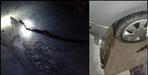 Crocodile came to maya vihar colony Haridwar