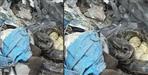 Udham singh nagar python found in scrap shop