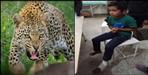 Leopard attacks two brothers in bageshwar