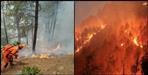First FIR registered in Uttarakhand forest fire case