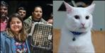 The family spent 2.5 lakh rupees to get the cat back