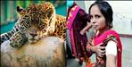 Ganga Devi of Pauri Garhwal beat Leopard away