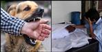 People killed Mad Dog in Haridwar Birla Ghat