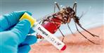 Dengue awareness campaign in Uttarakhand