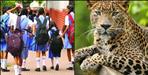 55 schools in Garhwal will remain closed until Tuesday