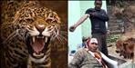 Leopard attack in almora