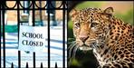 Leopard terror in Pauri Garhwal Ekeshwar block two days school holiday