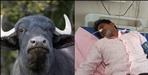 Buffalo Theft Victim Attempts Suicide at Police Station