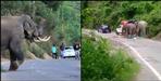 Elephant turned aggressive on Kotdwar-Pulinda road