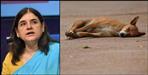 Dog killed in Uttarakhand Kashipur Maneka Gandhi Police Case