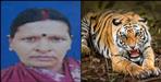 Tiger killed elderly woman in Almora