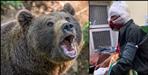 Bear attacked youth in Bageshwar Kapkot