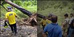 Pine tree getting deadly in the rain in Uttarakhand