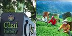 Tea factories will be set up in Uttarakhand