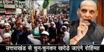 rajnath singh on rohingya