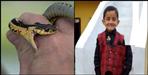 Child dies due to snake bite in Champawat