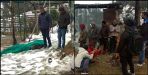 operator trapped in snow died due to cold
