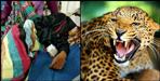 Mother rescues daughter from Leopard in Haldwani