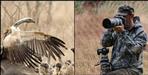 Rare White Rumped Vulture spotted in Corbett after 4 years