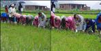 Bageshwar DM IAS Anuradha Pal Planted paddy in village