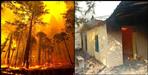 Fierce fire in the forests of Gangolihat development block