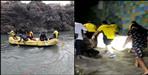 5 youths drowned in the river Ganga in Rishikesh
