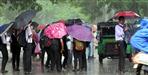 heavy rain in dehradun school closed 2 september