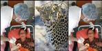 Pithoragarh women fight with leopard