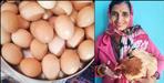 Hen laid 31 eggs in a single day in Almora Uttarakhand