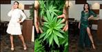 uttarakhand hemp fibers designer clothes
