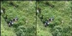 Chamoli Car fell into the abyss