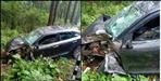 Car collided with tree on Dehradun Thano Jollygrat Road