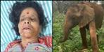 Elephant attack on women in nainital