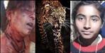 Nainital okhalkanda leopard news